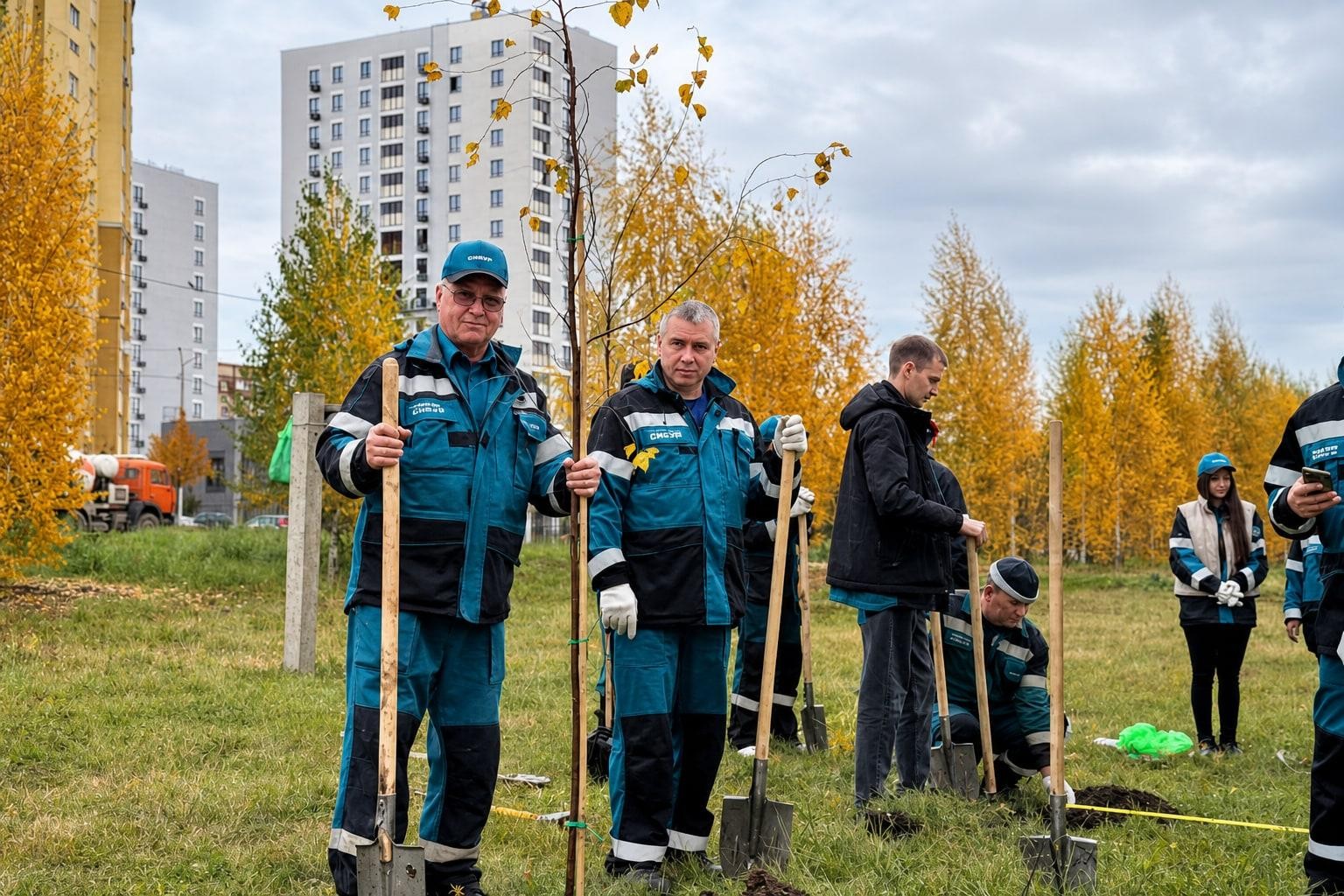 Аллея на улице Аминова станет зеленее