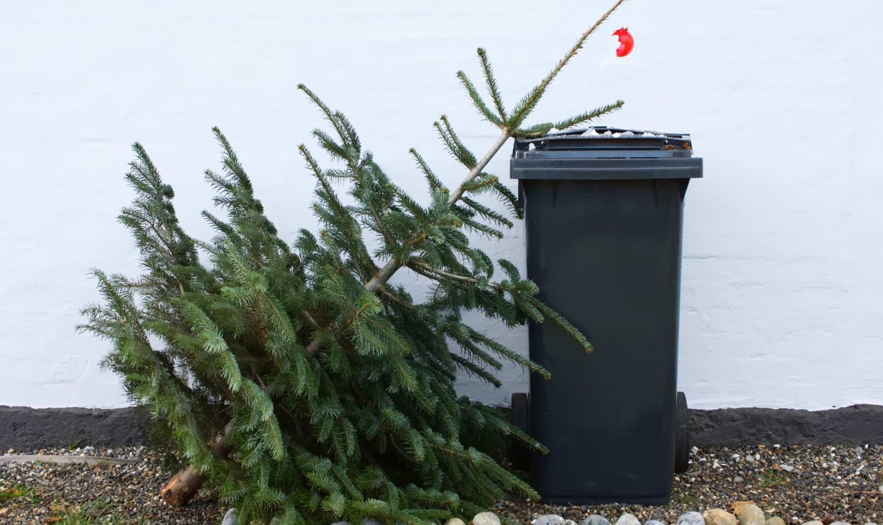 В Альметьевске открылись пункты приёма новогодних ёлок