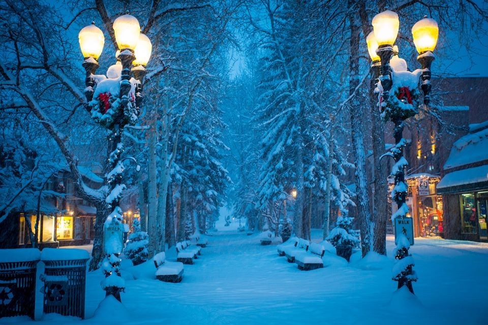 21 декабря в городском парке откроется новогодняя ёлка