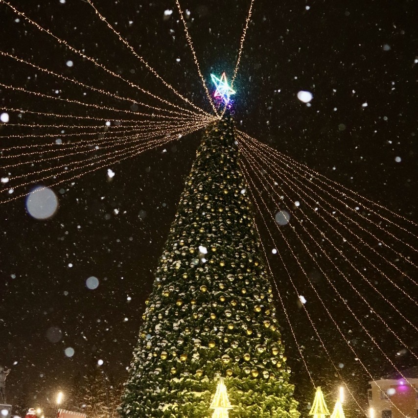 Центральная ёлка засияла новогодними огнями