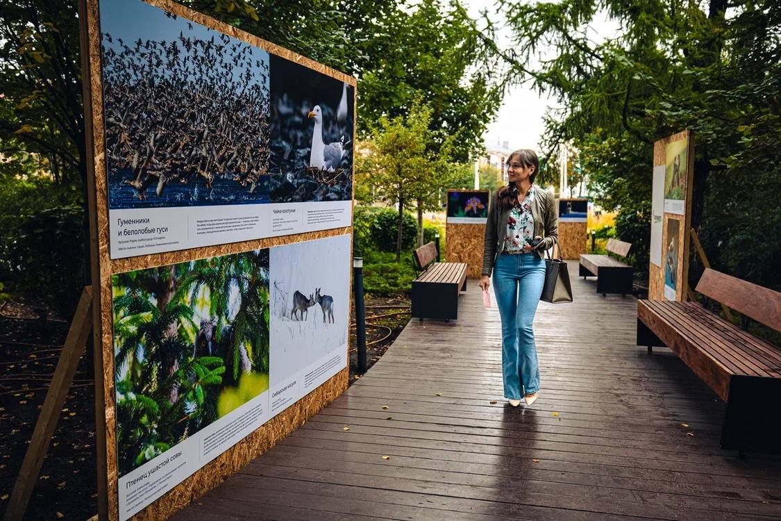 В Альметьевске открылась фотовыставка «Биоразнообразие Татарстана»