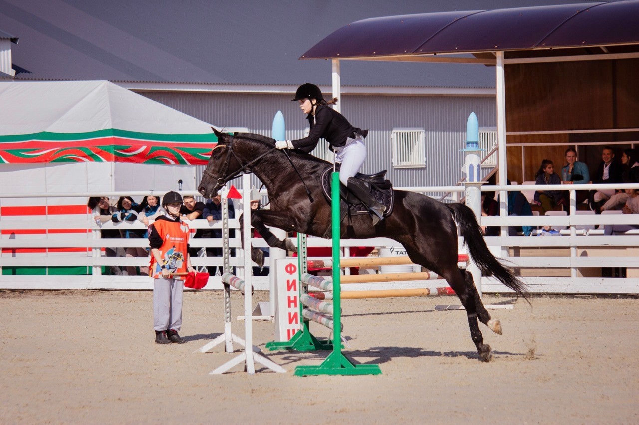 Зимний кубок по конному спорту: в Альметьевске пройдёт яркое событие 11 и 13 декабря