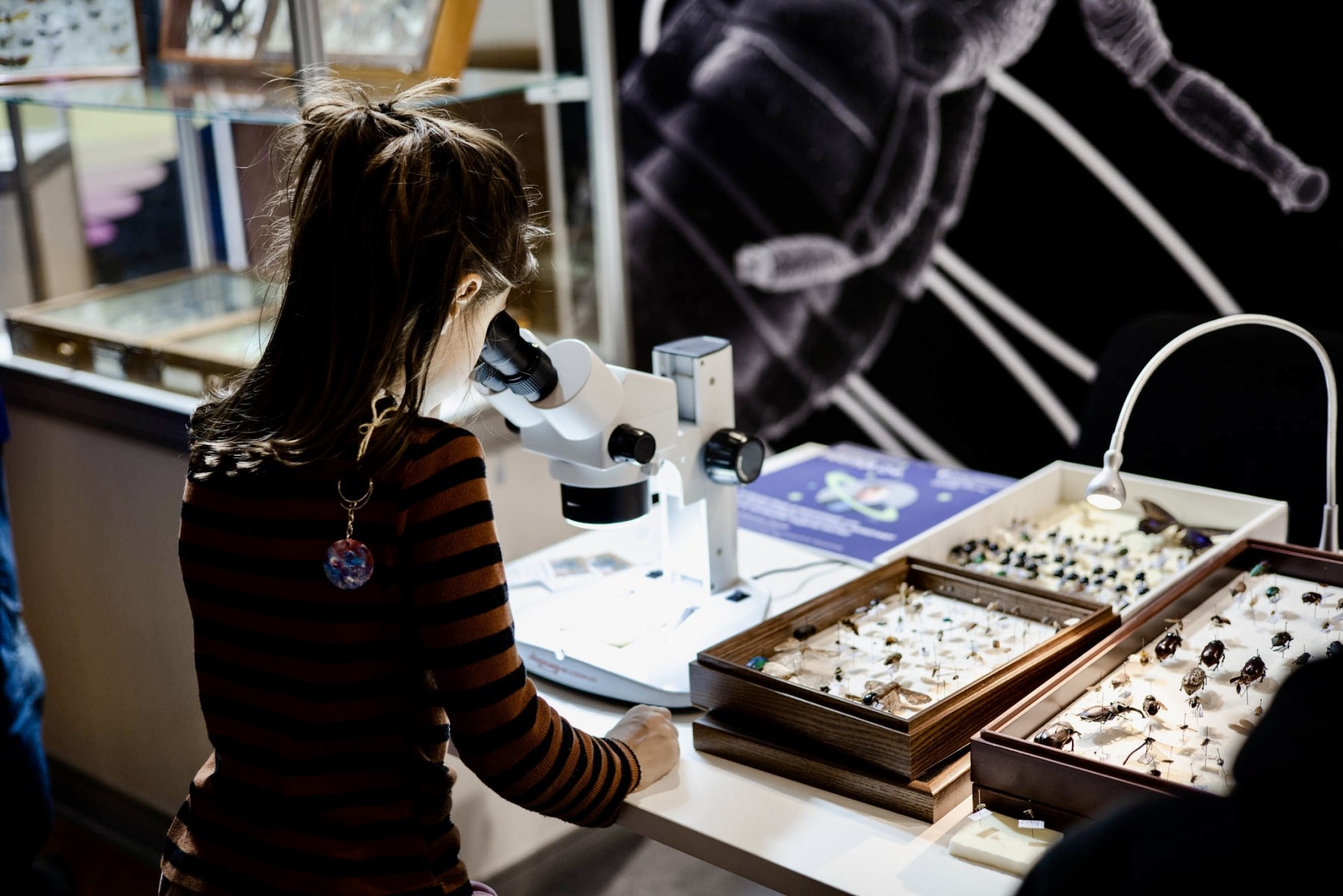 Всероссийский фестиваль НАУКА 0+ в Альметьевске