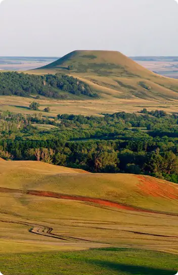 Гонки на треке