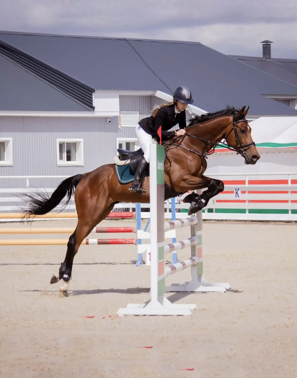 Конноспортивная школа