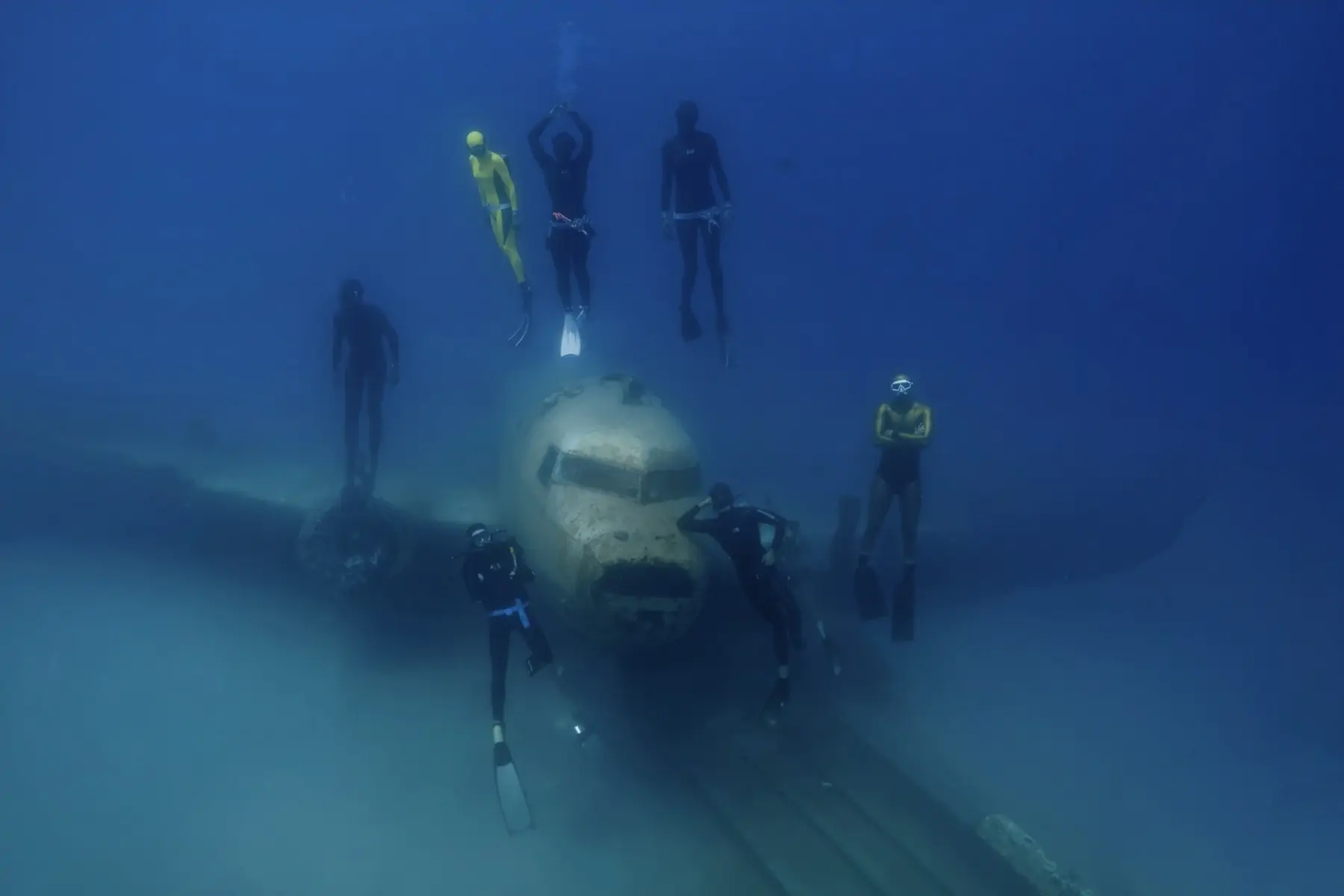 Школа фридайвинга «Maximus apnoea»